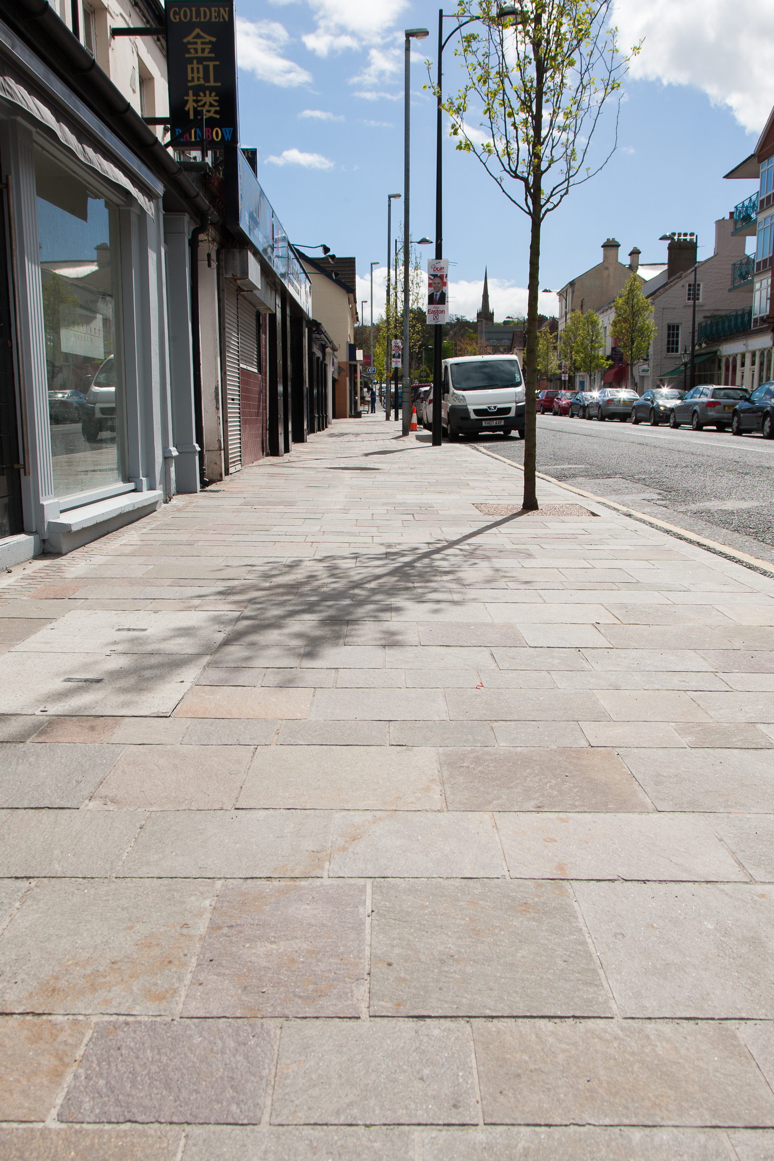 Image highlighting natural stone paving with integrated street tree planting.