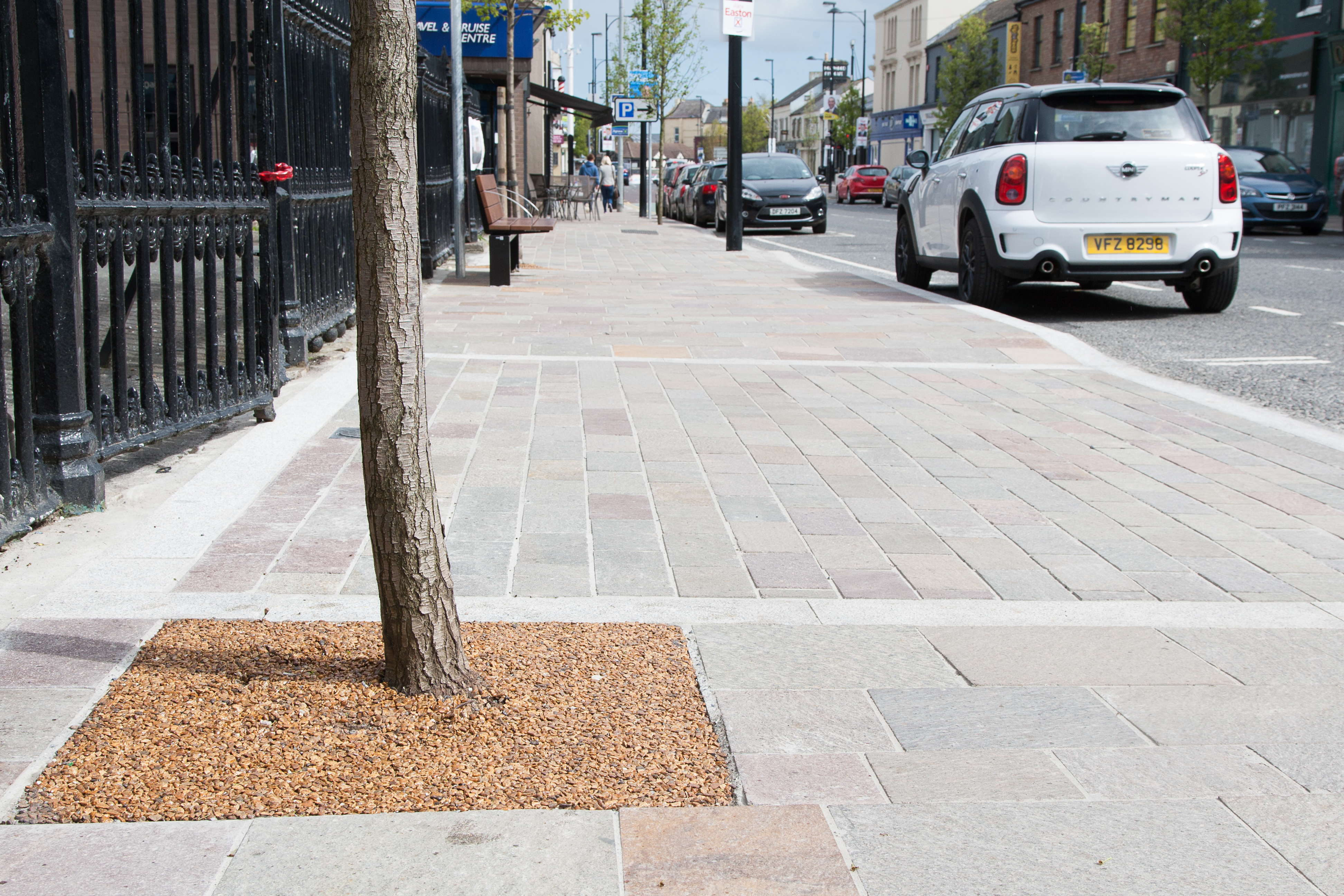 image illustrating asphalt pathway with hedge and ornamental planting.
